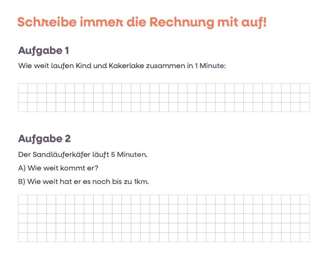 Exemplarische Aufgabenstellungen. Textaufgaben und Kästchen mit Platz für die Rechenaufgaben.