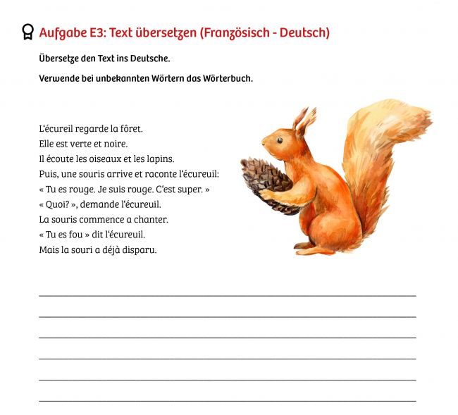 Übersetzungstext ins Französische.